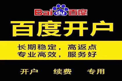 竞价排名中关键词出价策略的案例探讨